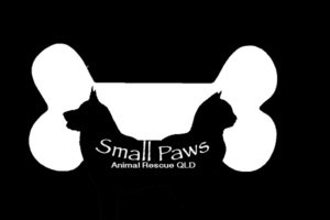 Logo Design by olgaz