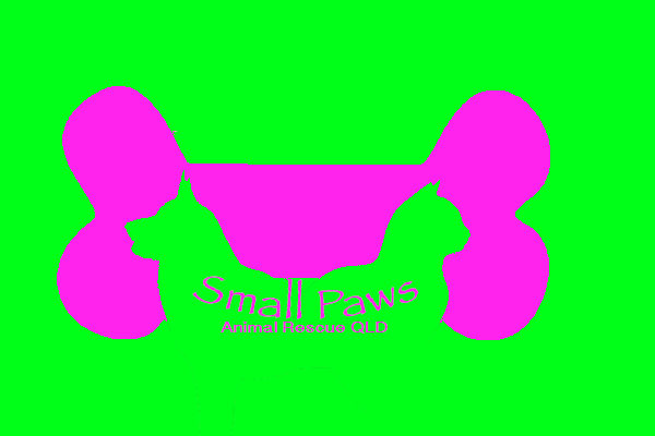 Logo Design by olgaz for Small Paws Animal Rescue QLD | Design #13534424