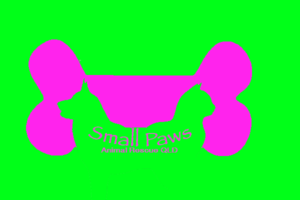 Logo Design by olgaz for Small Paws Animal Rescue QLD | Design: #13534424