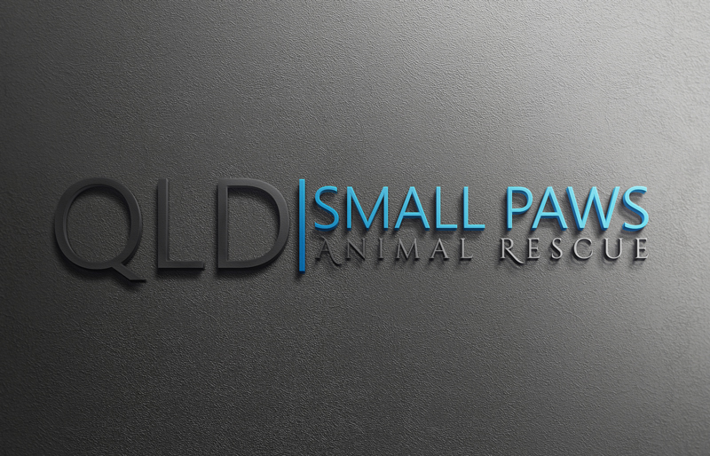 Logo Design by Top king  designer for Small Paws Animal Rescue QLD | Design #13529854