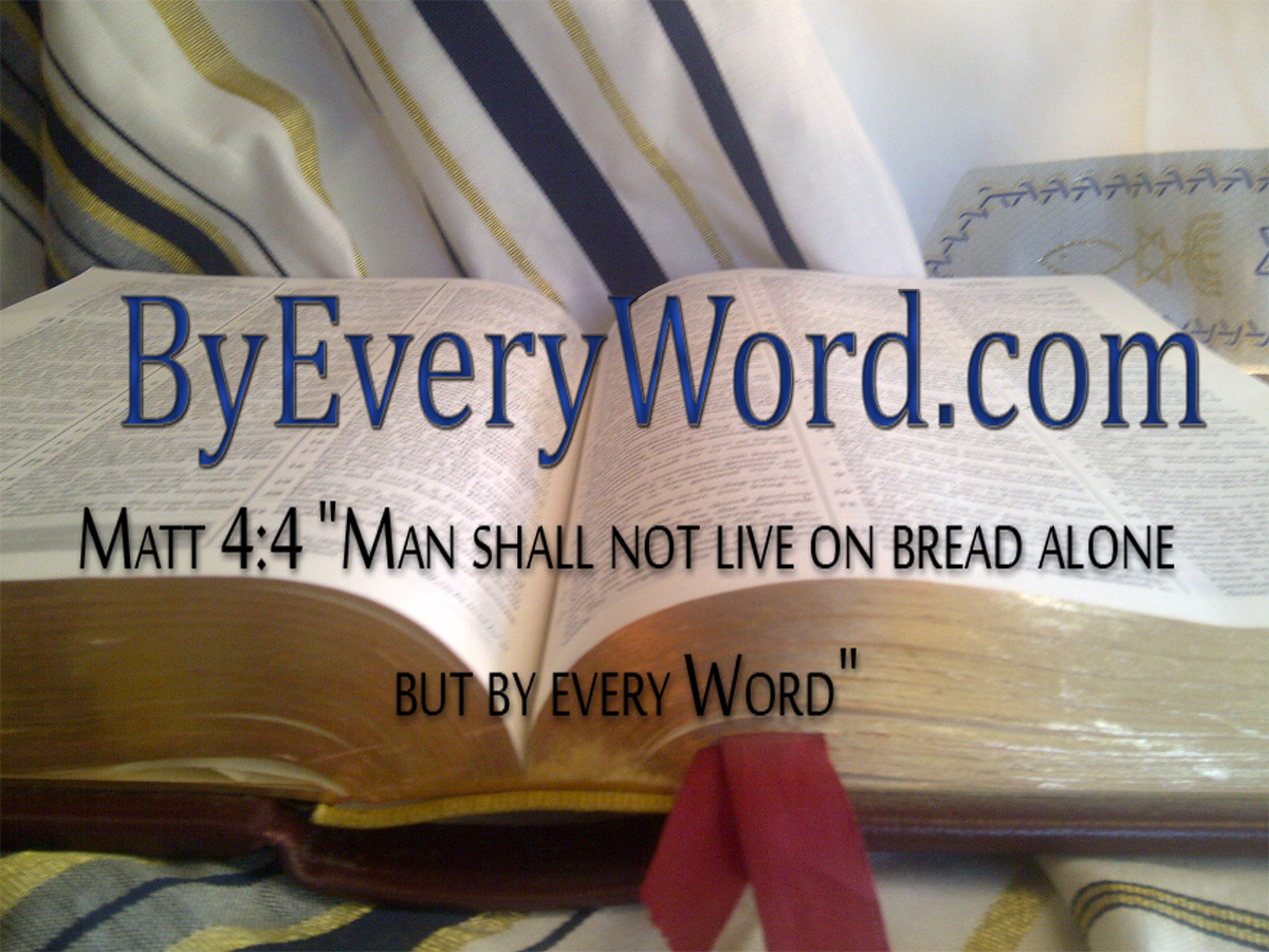 Logo Design by IVE for this project | Design #2516286