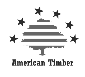 Logo Design by St.Sava