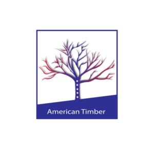 Logo Design by amitattri.pro