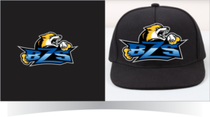 Diseño de Logo por r-toha para Blue Zone Sports | Diseño: #13572939