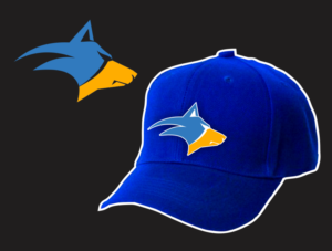 Logo-Design von pa2pat für Blue Zone Sports | Design #13549823