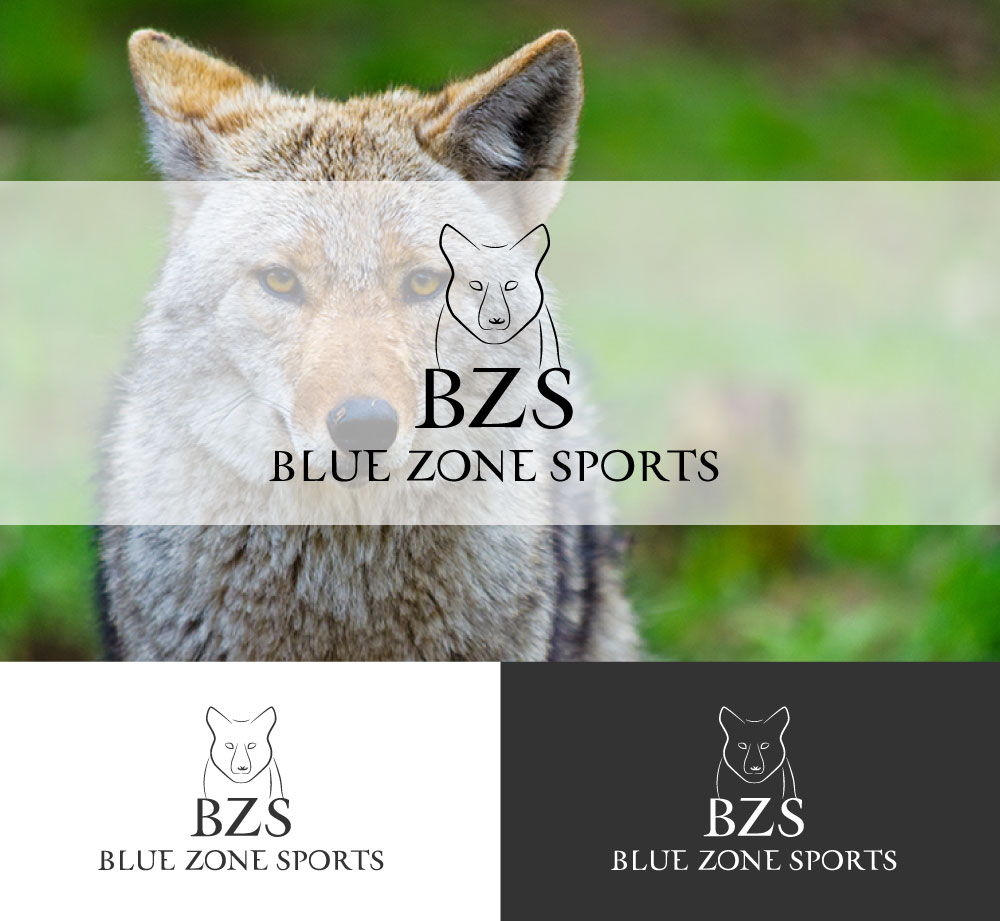 Logo-Design von logomaster24 für Blue Zone Sports | Design #13561238