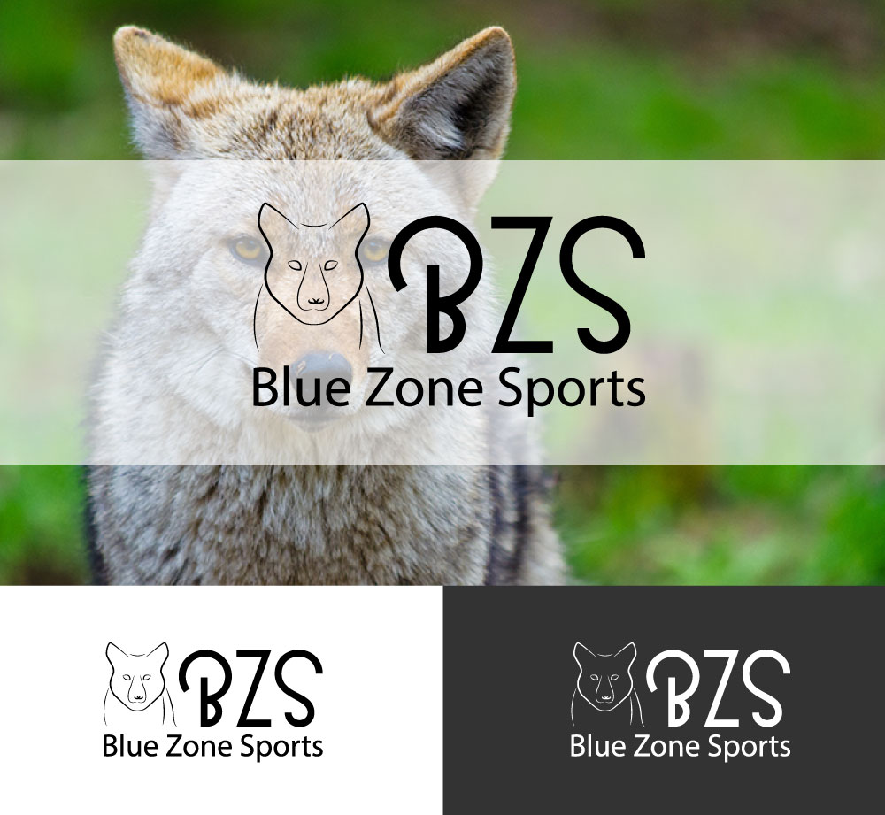 Logo Design by logomaster24 for Blue Zone Sports | Design #13561403