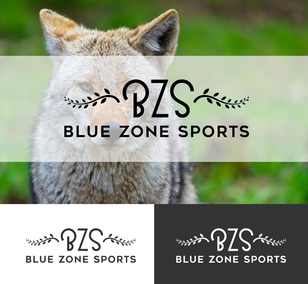 Diseño de Logo por logomaster24 para Blue Zone Sports | Diseño #13561639