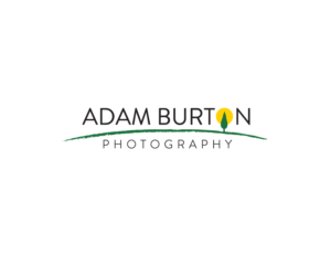 Logo Design by Buck Tornado for this project | Design: #13825914