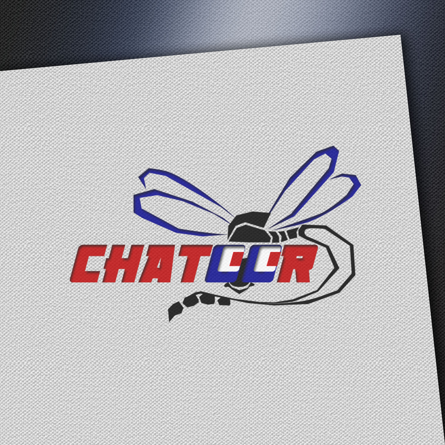 Logo Design by Chinmayees for this project | Design #13607096