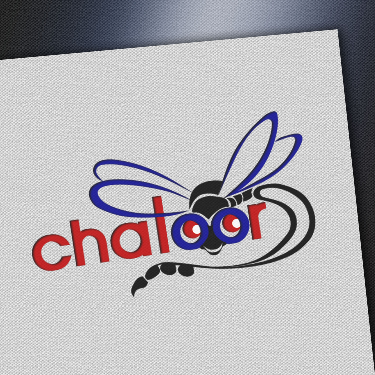 Logo Design by Chinmayees for this project | Design #13607097
