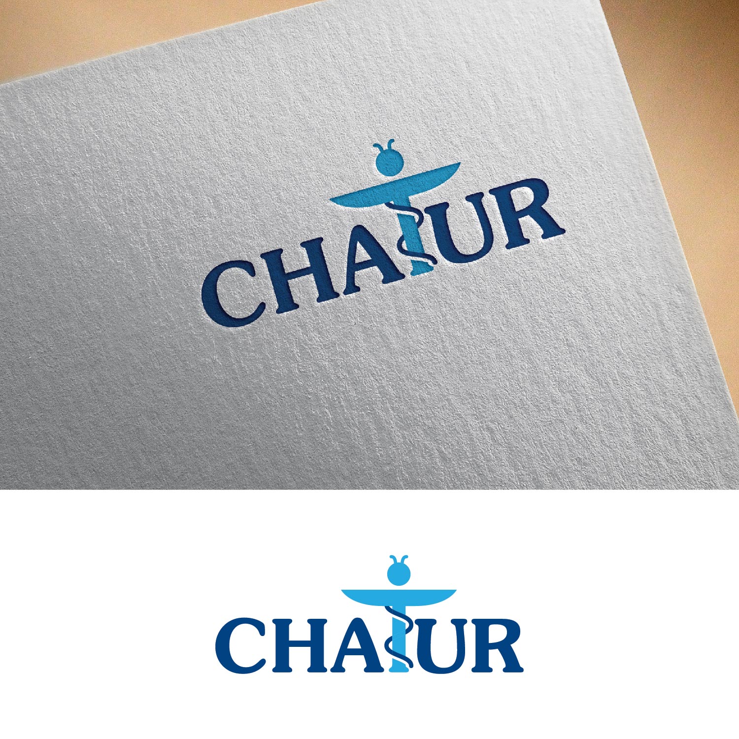 Logo Design by Anoushay for this project | Design #13546722