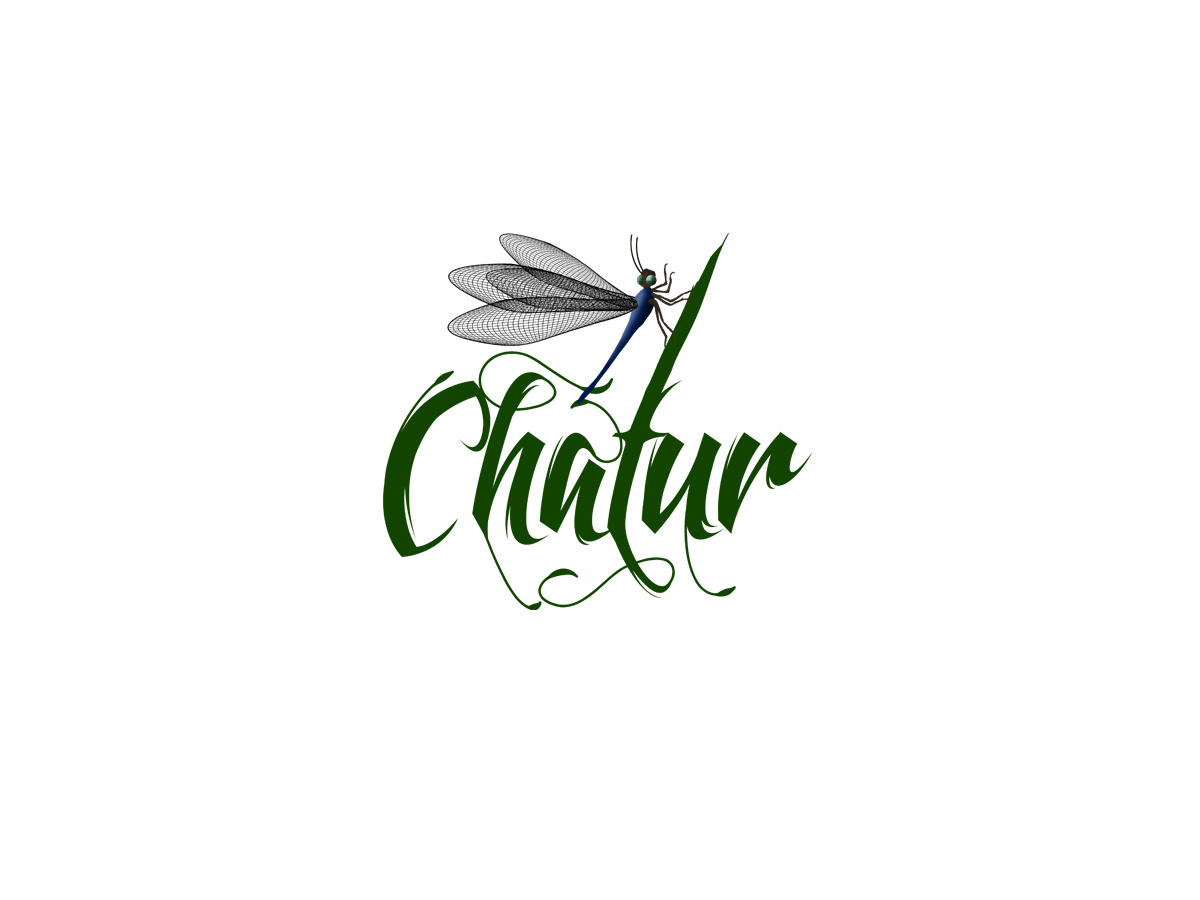 Logo Design by zoxo69 for this project | Design #13576655