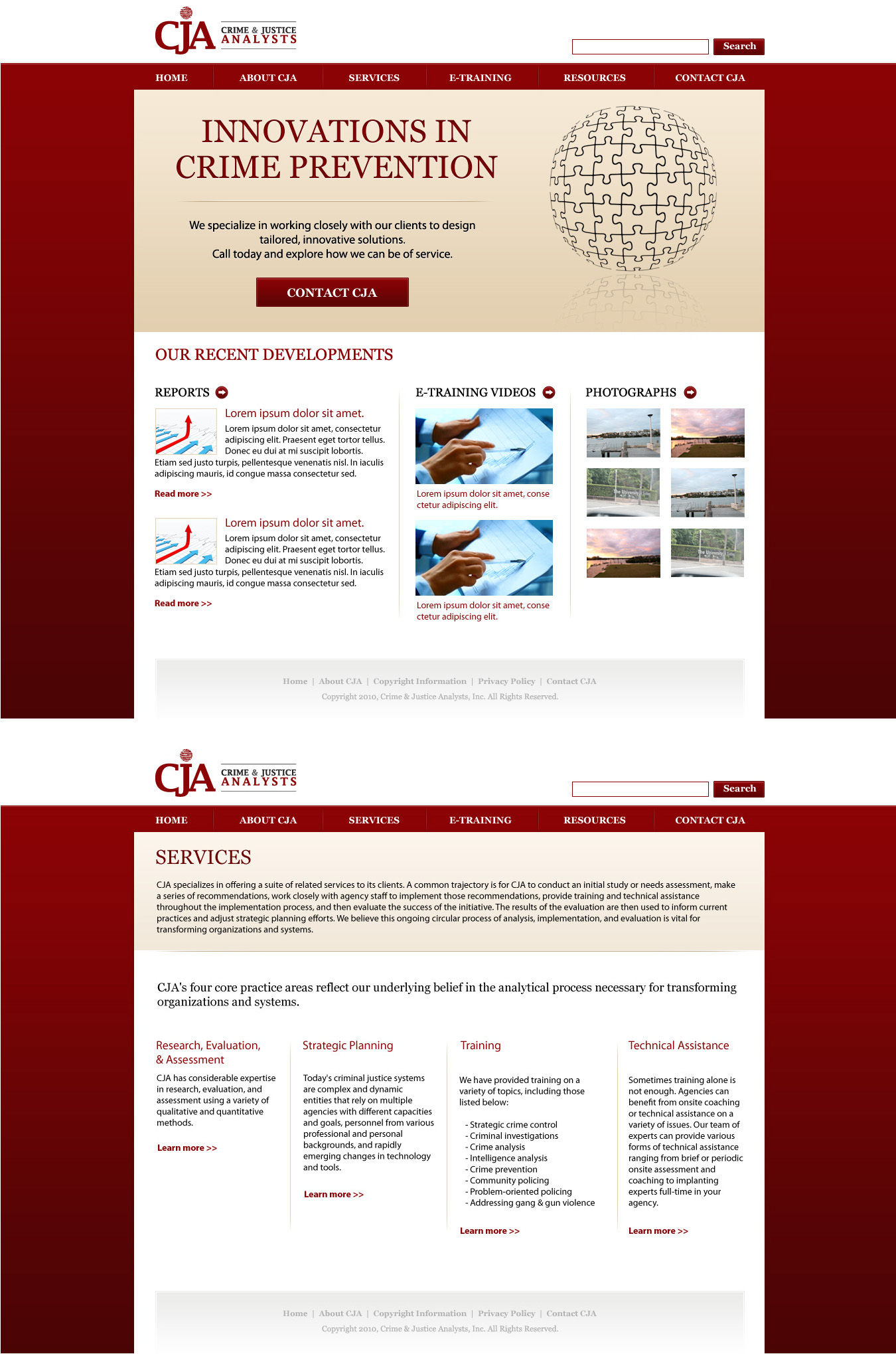 Web Design by TinaDesign for Crime and Justice Analysts | Design #33852