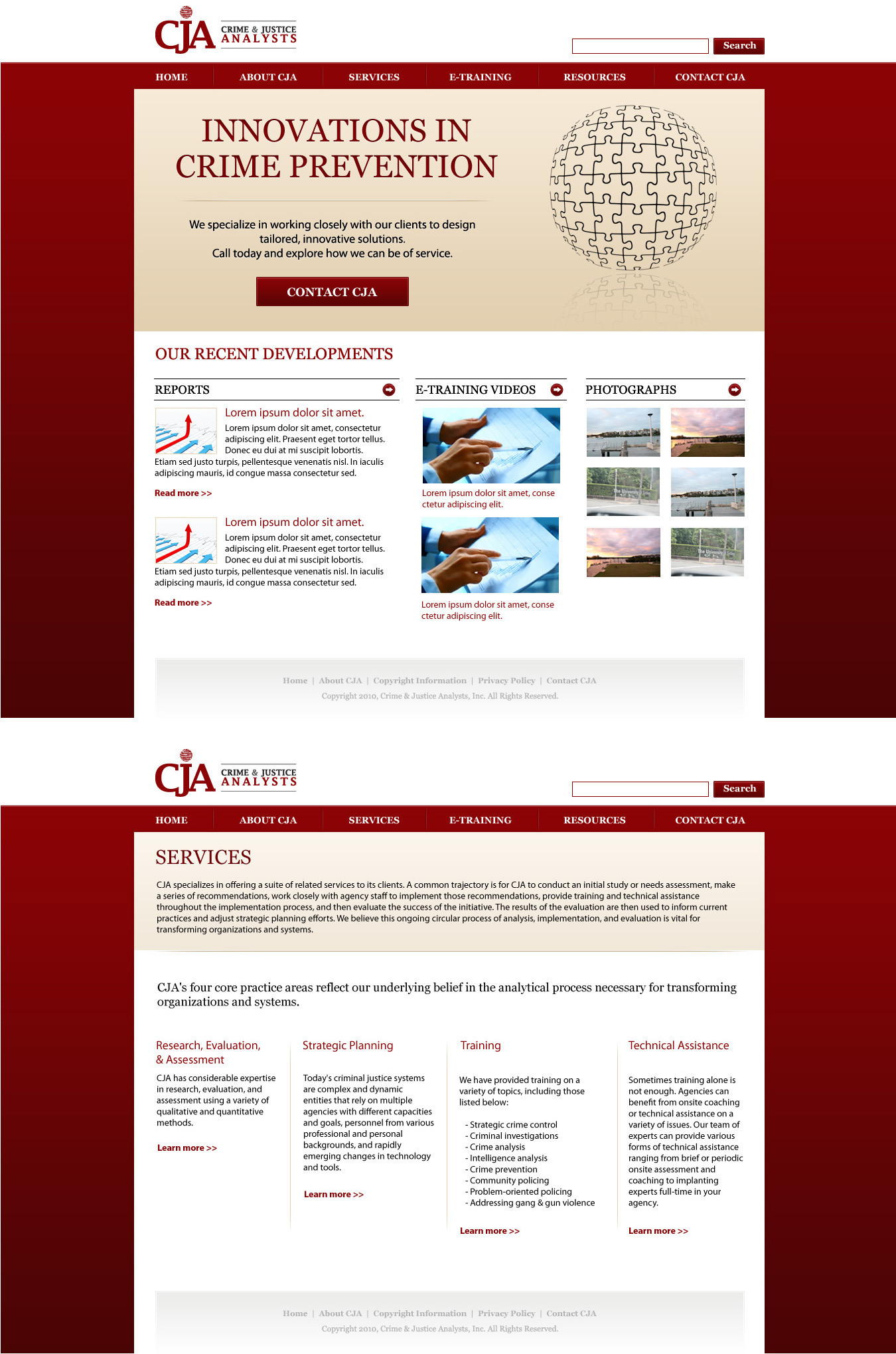 Web Design by TinaDesign for Crime and Justice Analysts | Design #33853