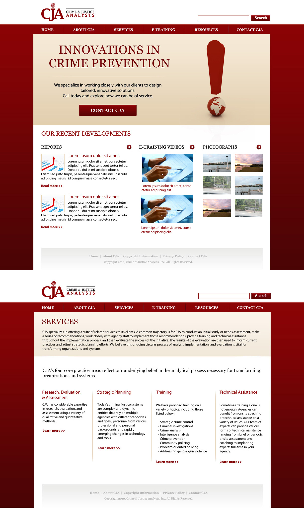 Web Design by TinaDesign for Crime and Justice Analysts | Design #34579