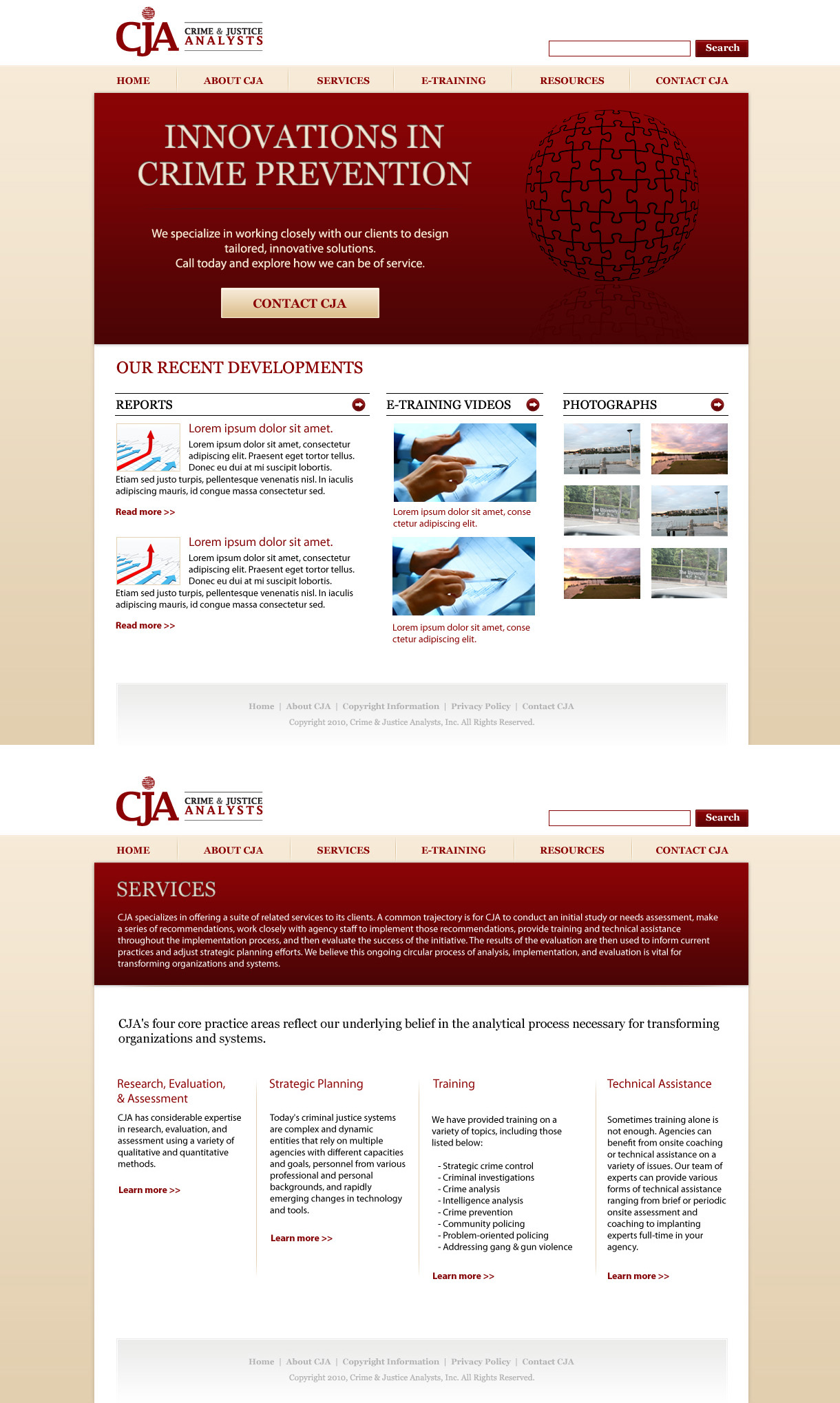 Web Design by TinaDesign for Crime and Justice Analysts | Design #34583