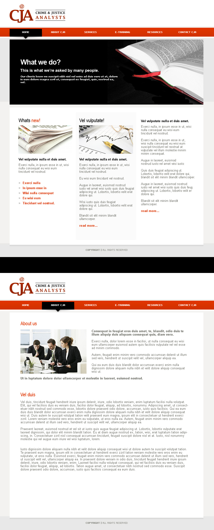 Web Design by In2Graphics for Crime and Justice Analysts | Design #33447