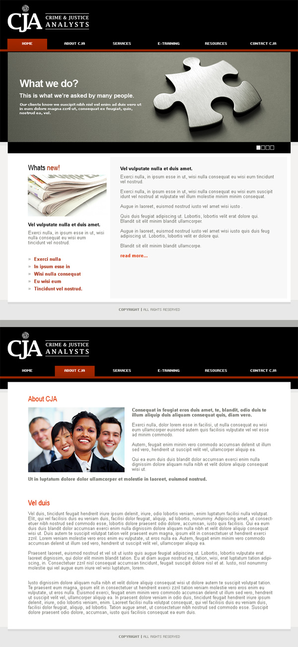 Web Design by In2Graphics for Crime and Justice Analysts | Design #34070