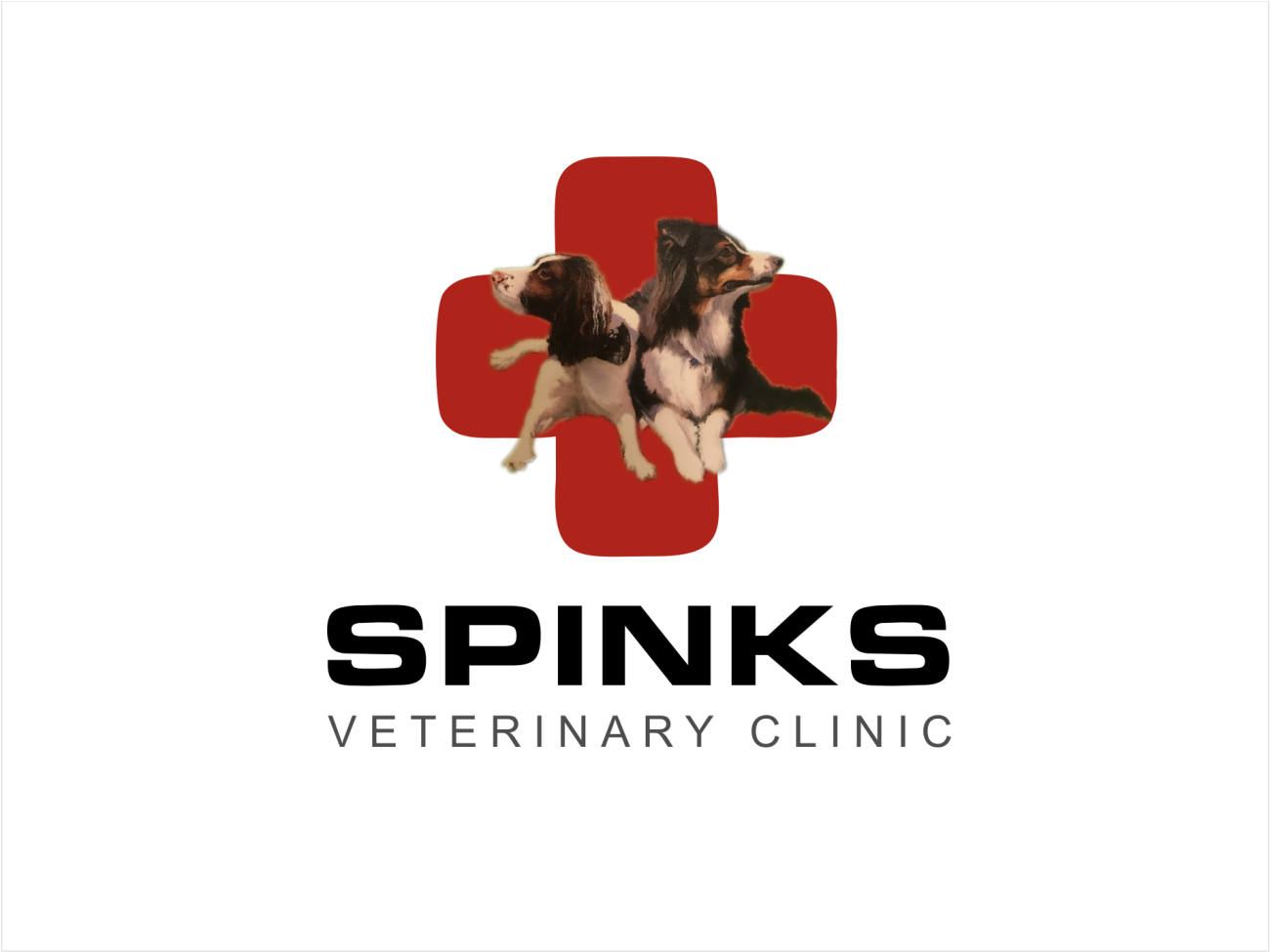 Modern, Bold, Veterinary Logo Design for Spinks Veterinary Clinic by Dr