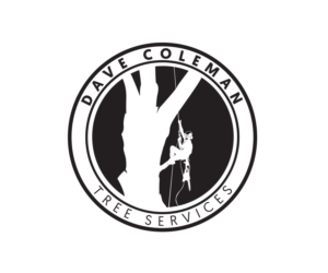 Logo-Design von Professor P für dieses Projekt | Design: #13586524