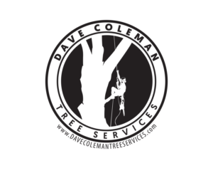 Logo-Design von Professor P für dieses Projekt | Design: #13592793