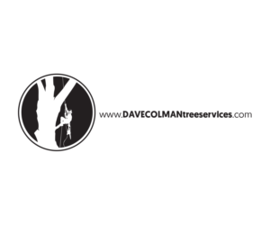 Logo-Design von Professor P für dieses Projekt | Design: #13593758