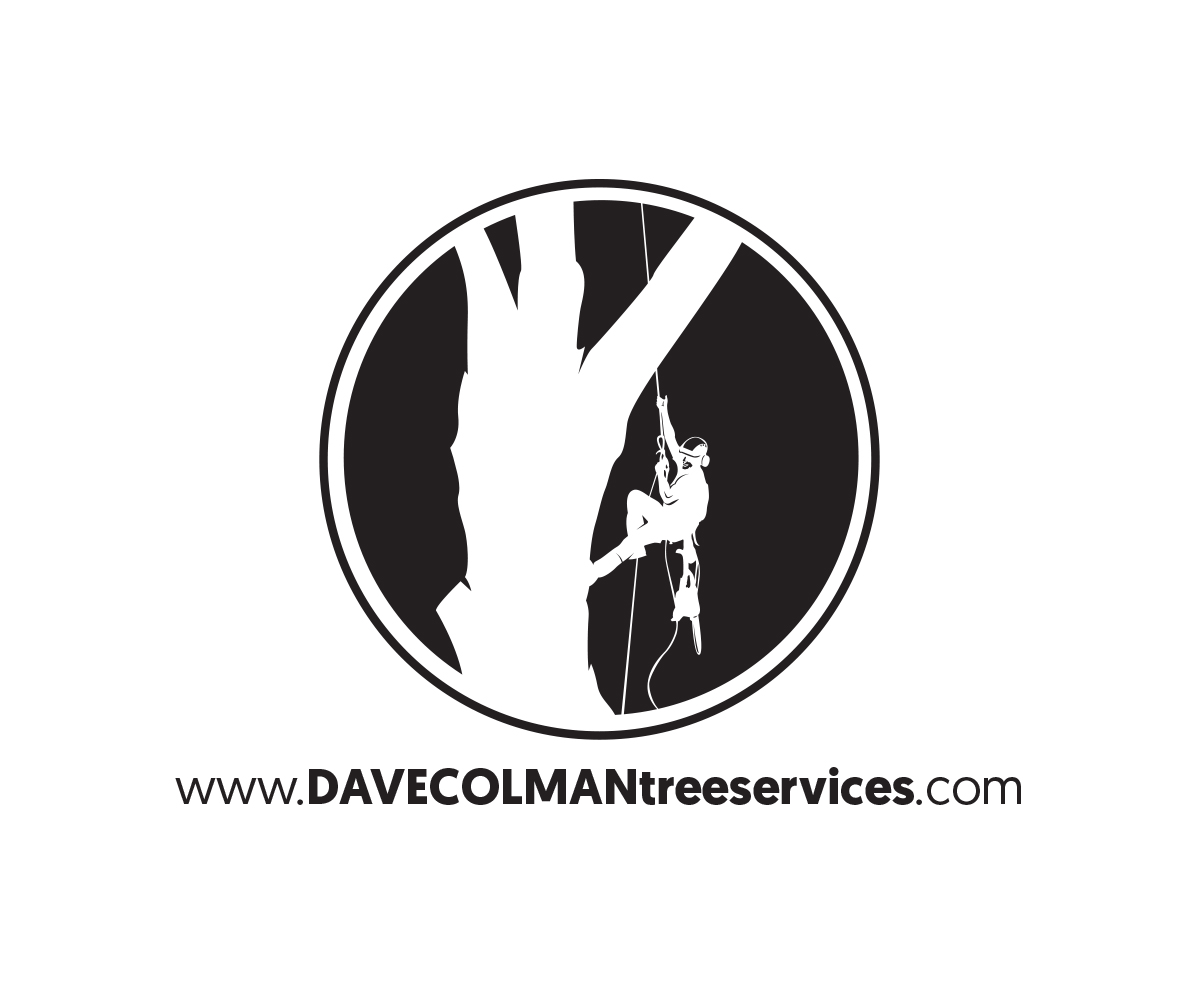 Logo-Design von Professor P für dieses Projekt | Design #13593760