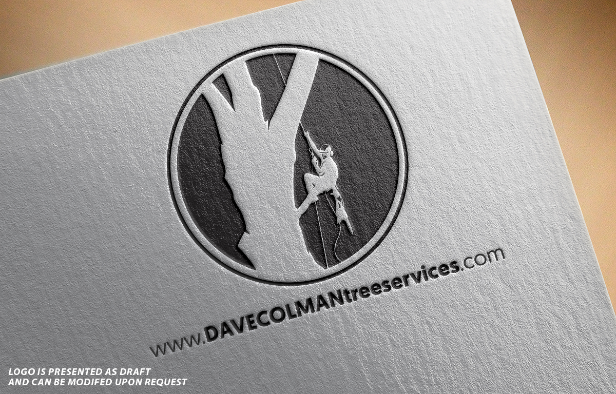 Diseño de Logo por Professor P para este proyecto | Diseño #13593763