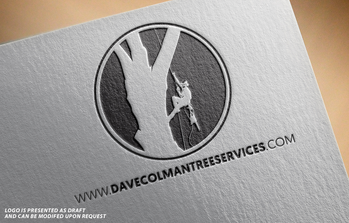 Logo-Design von Professor P für dieses Projekt | Design #13608605