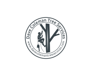 Logo-Design von design.bb für dieses Projekt | Design: #13595292