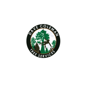 Logo-Design von TB Designs für dieses Projekt | Design: #13581202