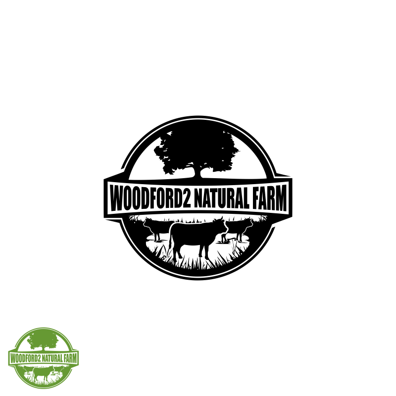 Diseño de Logo por hadi41181 para Woodford No.2 | Diseño #13657352