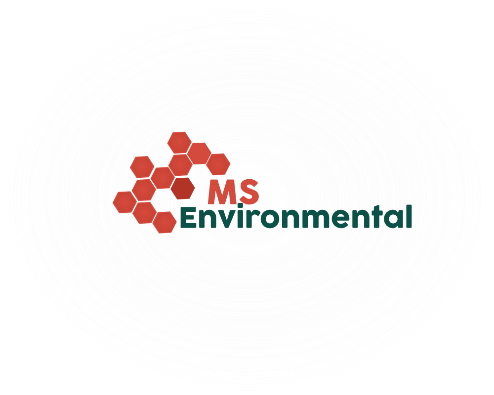Logo Design by Stera for MSENVISION | Design #13577448