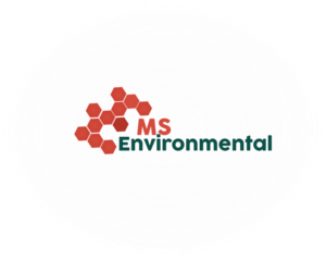Logo Design by Stera