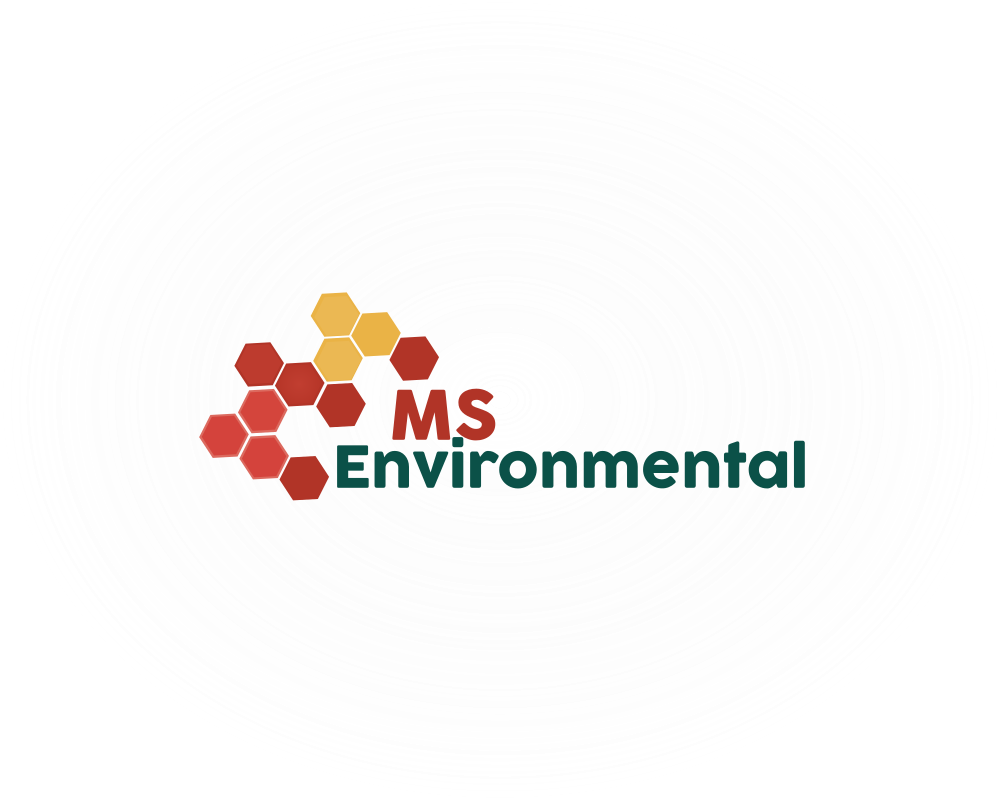 Logo Design by Stera for MSENVISION | Design #13588047