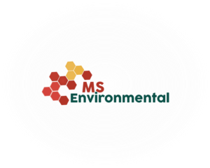 Logo Design by Stera for MSENVISION | Design: #13588047