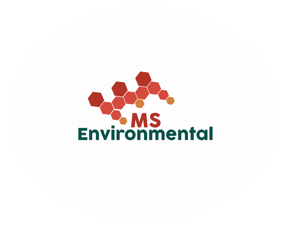 Logo Design by Stera for MSENVISION | Design #13588048