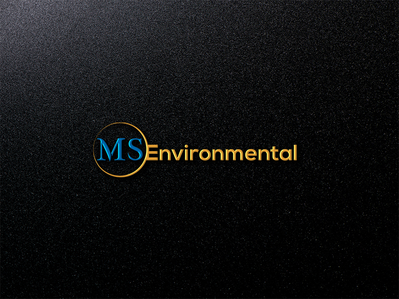 Logo Design by EGYPT KING for MSENVISION | Design #13580356