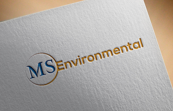 Logo Design by EGYPT KING for MSENVISION | Design #13580358