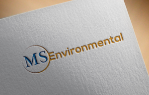 Logo Design by EGYPT KING for MSENVISION | Design: #13580358