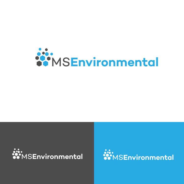 Logo Design by DesignDUO for MSENVISION | Design #13686297