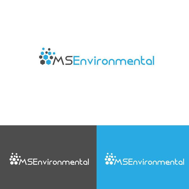 Logo Design by DesignDUO for MSENVISION | Design #13686298