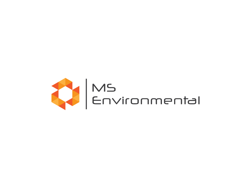 Logo Design by jisuvo8 for MSENVISION | Design #13652441