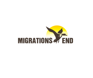 Logo Design by Designpool