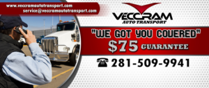 Poster Design by NILDesigns for VECCRAM | Design #13589723