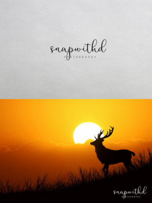 Logo Design by RachelleJoy