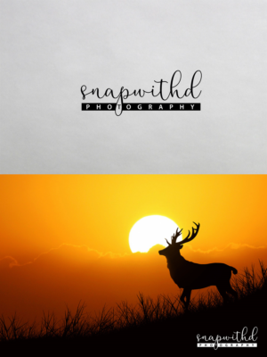 Logo Design by RachelleJoy for this project | Design: #13619109