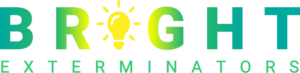 Logo Design by DevSkillz