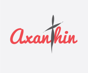 Logo Design by Anisya